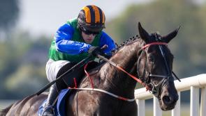 Talented Southill jockey Terry Casey celebrates memorable first win on the track