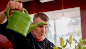 Drought status confirmed for nine areas in Limerick by Uisce Éireann