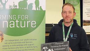 Limerick man who embraced Korean farming practices hosts open day