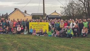 Planners refuse  proposed €100m biomethane plant in County Limerick