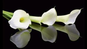 RIP: Limerick deaths and funeral details, Thursday, June 26