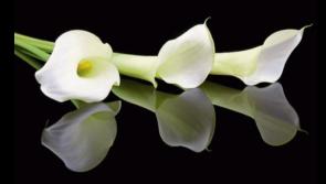 RIP: Limerick deaths and funeral details, Thursday, July 03