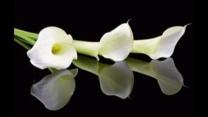 RIP: Limerick deaths and funeral details, Thursday, March 26