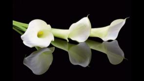 RIP: Limerick deaths and funeral details, Thursday, April 2