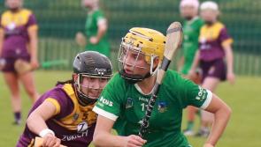 Limerick overpower Wexford  in All-Ireland Camogie Championship