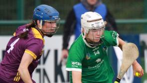 LISTEN: Limerick camogie manager Quaid: "Victory over Wexford is just fantastic"