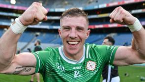 Five  Limerick representatives win All-Ireland titles in Croke Park