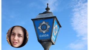 Have you seen Gabriel? Garda&iacute; concerned for welfare of missing 14-year-old