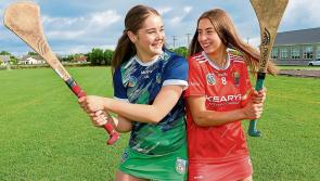 Battle lines are drawn as Limerick holds it's breath for the Munster&nbsp;final!