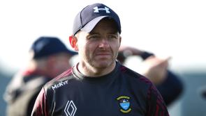 Limerick man steps down as Westmeath senior hurling manager 