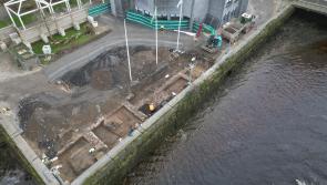 'It's some discovery': Skeletons unearthed in Limerick