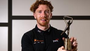 Limerick hurling star named PwC GAA/GPA player of the month for May
