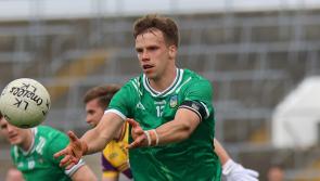 Limerick advance to Tailteann Cup semi-final following thrilling win over Wexford 