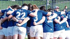 Limerick's seven All-Ireland League rugby clubs learn structure details  for 2025/2026 season