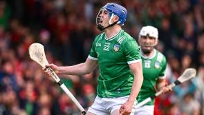 WATCH: Limerick fans look ahead to All-Ireland senior hurling quarter-final clash with Dublin