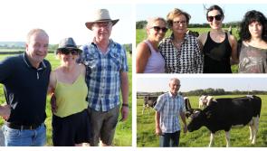 PICTURES: Limerick and Clare Friesian Breeders Club annual stock judging