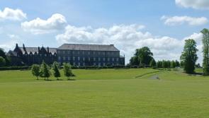 Work to begin on cricket crease and safety batting area at Limerick park