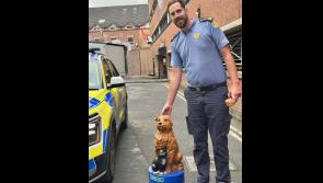Lucky lives up to its name as much loved Limerick charity box is recovered after theft