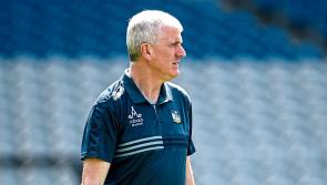 How our pundits rated the Limerick senior hurlers' season