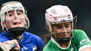 Limerick Camogie County League finals set to be played out this weekend 