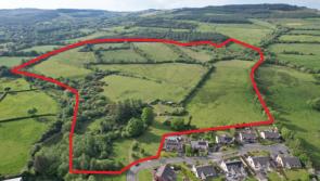 ‘Depth of the market for land’ shown at auction of 95 acres close to Limerick-Clare border
