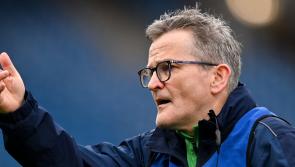 Limerick wait on key injuries ahead of Tailteann Cup final in Croke Park