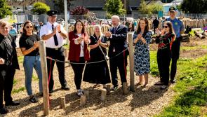 Southill Play Space opens in Limerick with strong community support