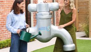 Water tankering in Limerick village as Uisce Éireann issues conservation appeal