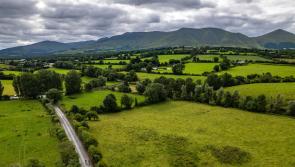 Ballyhoura backs biodiversity with community heritage grant