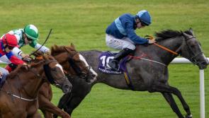 Limerick jockeys hit top form on the racetrack 