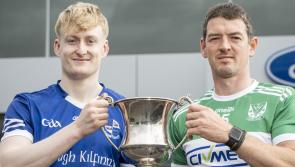 Effin and Croagh-Kilfinny meet in opening round of Limerick Premier Intermediate Hurling Championship