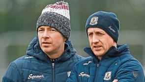 Limerick stars back in action as senior hurling championship set to begin