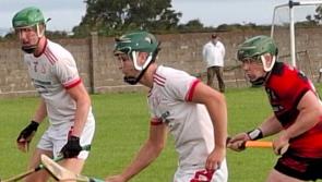 Monaleen open Limerick senior hurling championship campaign with victory over Adare