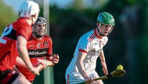 Adare and Monaleen open group two of Limerick Senior Hurling Championship