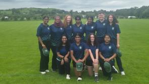 Limerick Cricket Club suffer defeat in Munster's Super Cup final