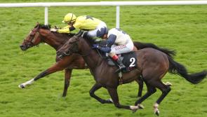Limerick racing connections enjoy a successful Galway Races Summer Festival