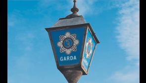 Fire breaks out following burning outside house on outskirts of Limerick city