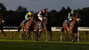 Limerick jockey closes in on 50th winner of the season