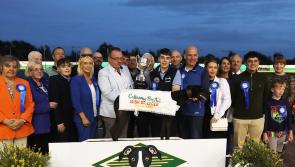 PICTURES: Big crowds cheer local winner home in Irish St Leger final in Limerick