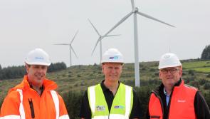 Energy giant signs deal to allow businesses to source power from Limerick wind farm