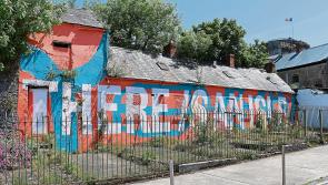 Limerick's An Taisce branch want cars removed from part of riverside