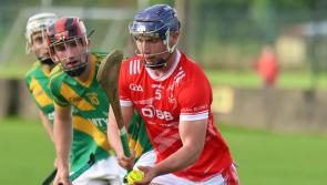Knock-out places  confirmed in Limerick Senior Hurling  Championship