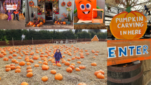 Curraghchase Pumpkin Patch: The best family Halloween event in Limerick