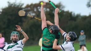 Semi-final bound Effin edge past Granagh-Ballingarry in Limerick premier intermediate hurling championship