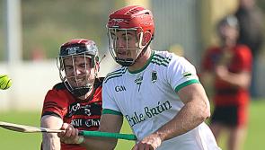 Fixture details revealed for Limerick senior hurling championship semi-finals 