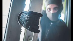 Shutters stop Limerick city break-in as door of business premises damaged