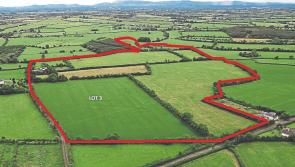 Three farms of land in Limerick go under the hammer in a week for close to €2m