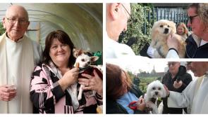 PICTURES: Limerick pets receive their annual blessing