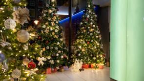 Celebrate the magic of Christmas at the Limerick Strand Hotel
