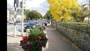 Volunteers’ hard work pays off as Limerick city earns coveted Tidy Towns Gold Medal